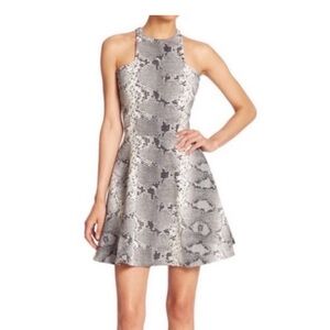 Elizabeth and James Black and Gray Snake Print Mini Dress